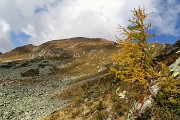 Anello dei MONTI ARETE (2227 m) e VALEGINO (2415 m) da Cambrembo di Valleve il 14 ottobre 2018 - FOTOGALLERY